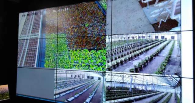 從田間到餐桌，5G、IoT、AI如何催生智慧農(nóng)業(yè)？