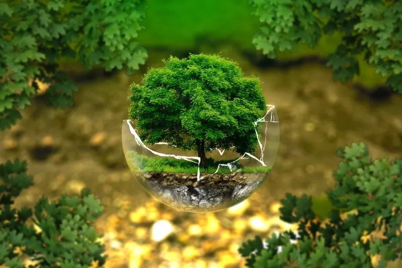 我國智慧農(nóng)業(yè)的發(fā)展現(xiàn)狀、問題及戰(zhàn)略對策
