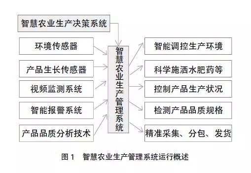 我國智慧農(nóng)業(yè)的發(fā)展現(xiàn)狀、問題及戰(zhàn)略對策