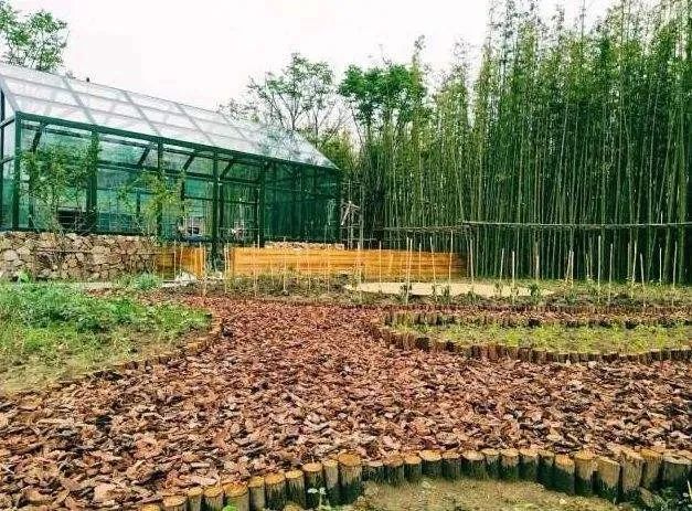 智慧農(nóng)業(yè)解決農(nóng)業(yè)3大難題，但回歸本質(zhì)更重要