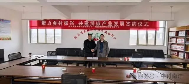 文章附图